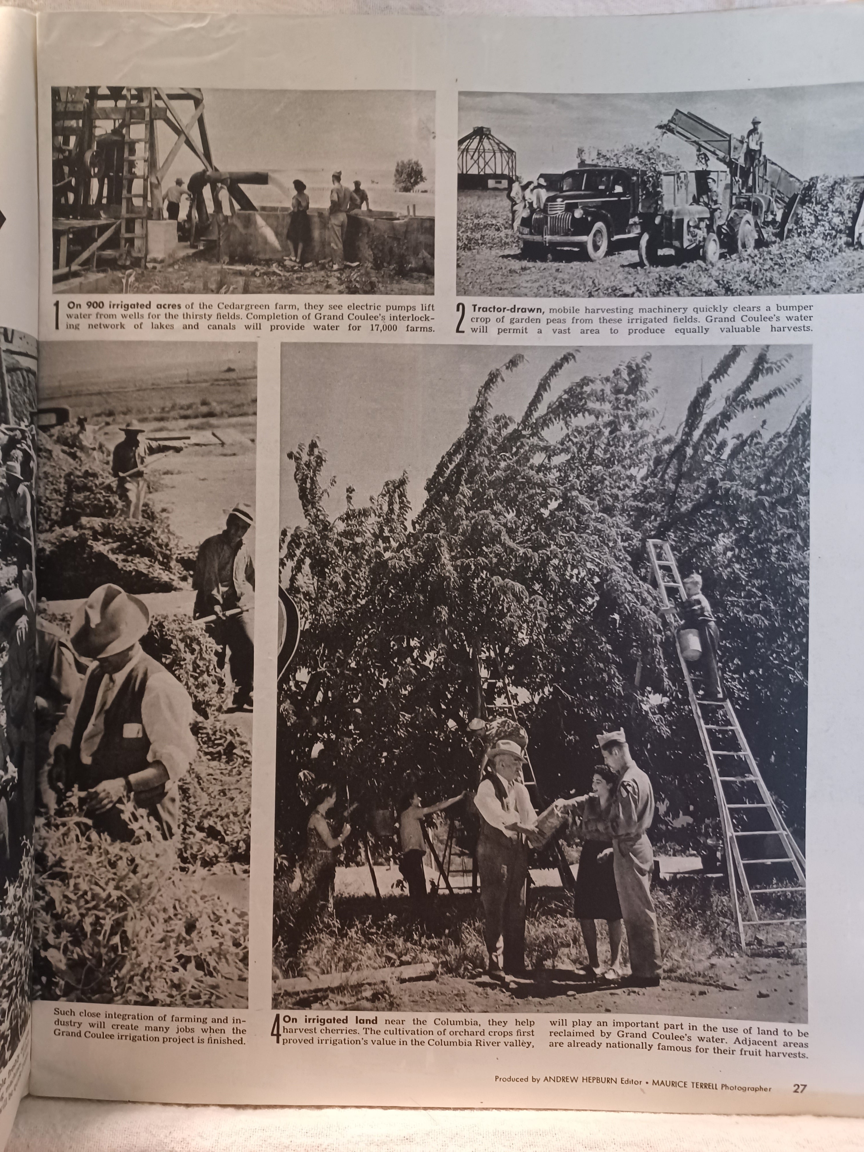 VINTAGE Magazine "LOOK", October 16, 1945, Featuring "Skin Tight and Brief" (pg 50)