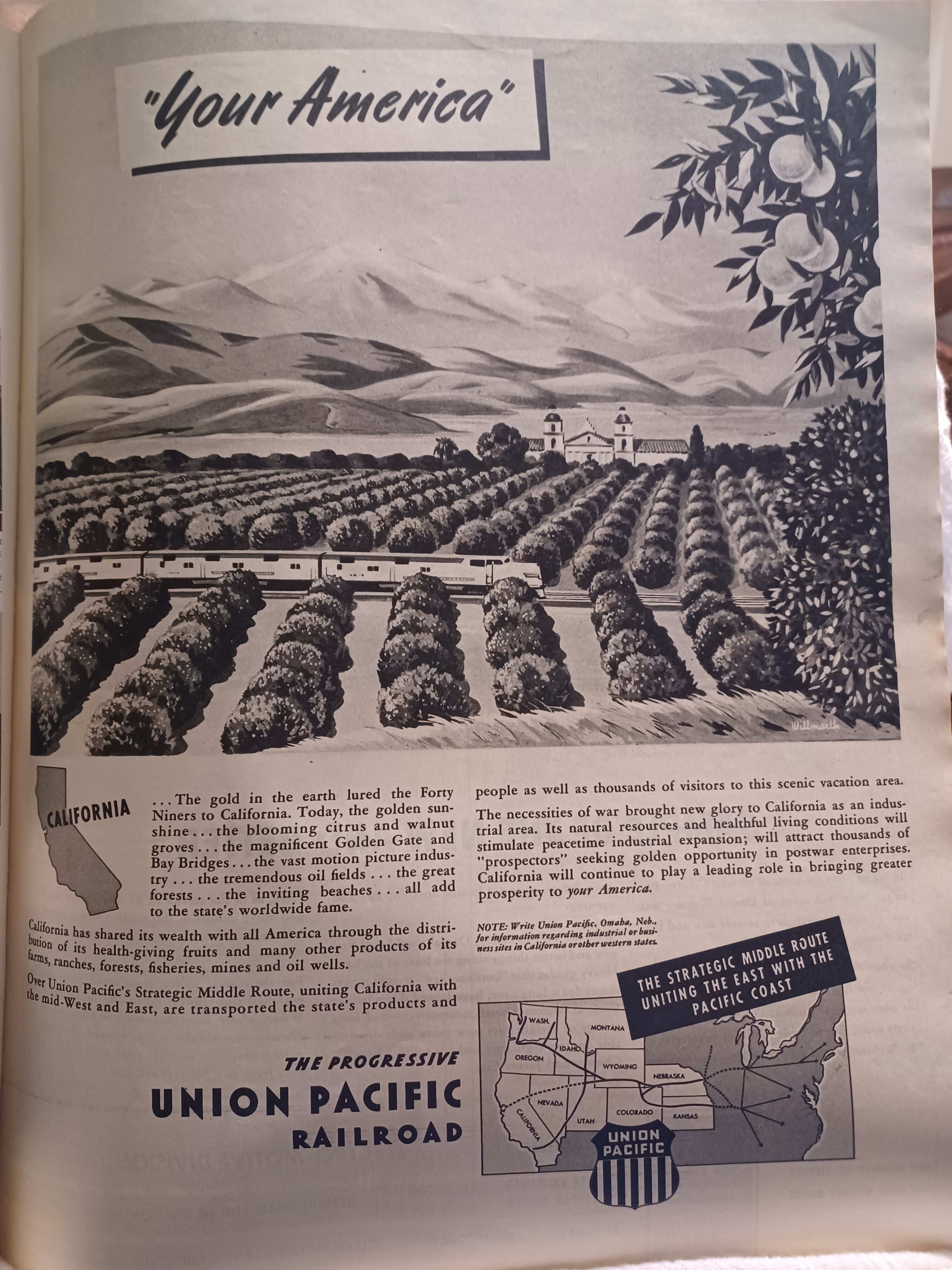 LOOK Magazine - November 13, 1945 | Vintage Post-WWII Era Issue