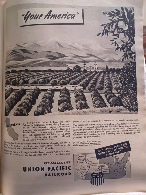 LOOK Magazine - November 13, 1945 | Vintage Post-WWII Era Issue